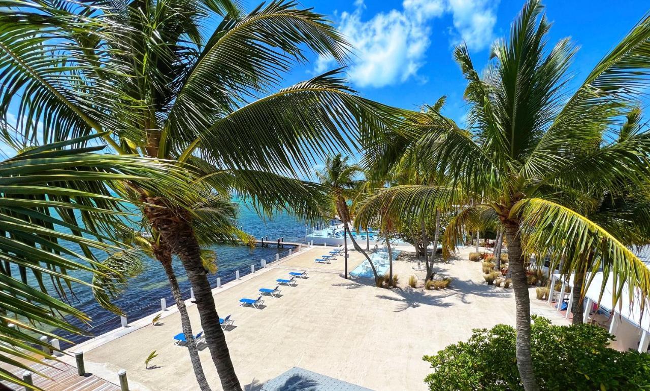 Pines & Palms Resort Islamorada Extérieur photo