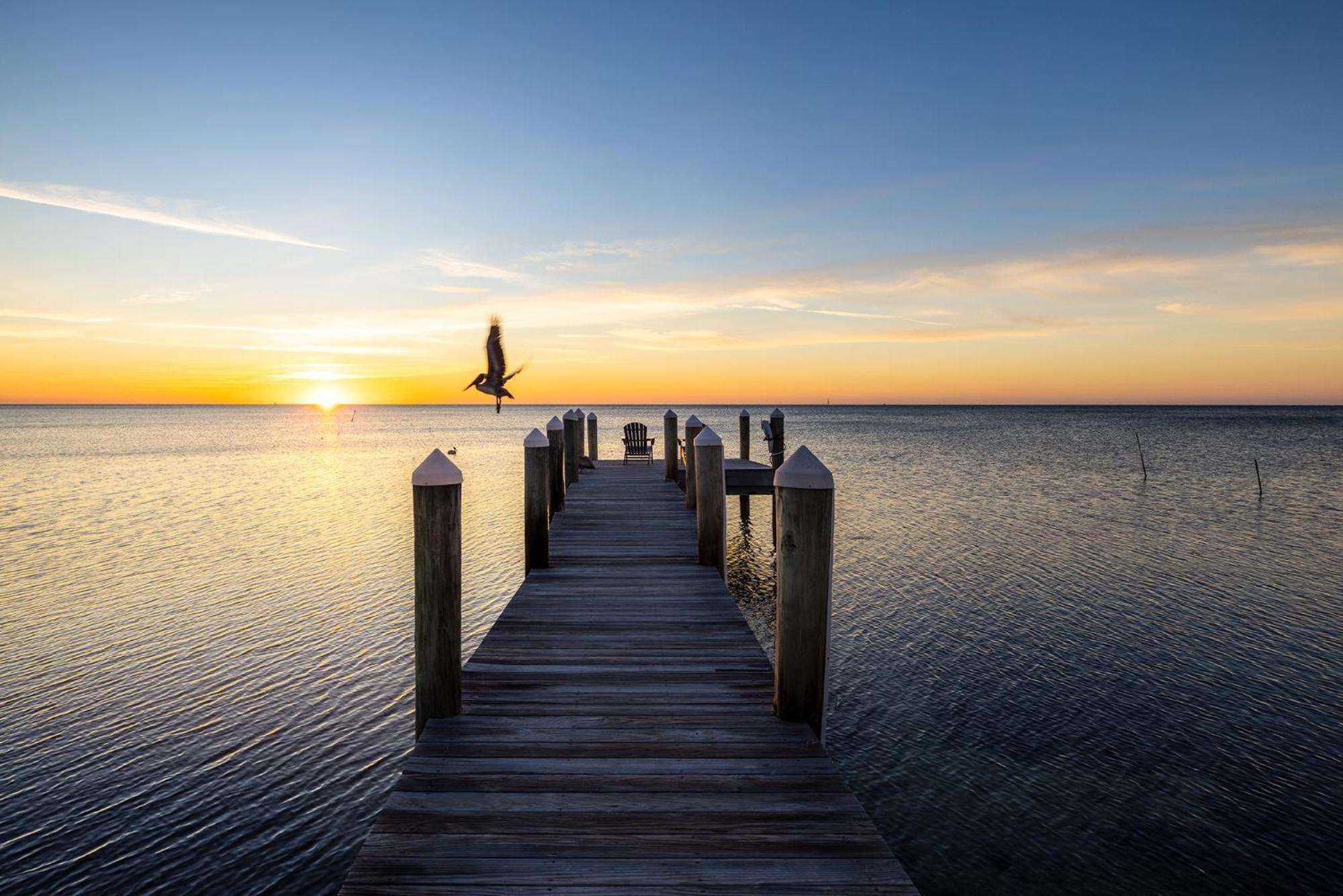 Pines & Palms Resort Islamorada Extérieur photo